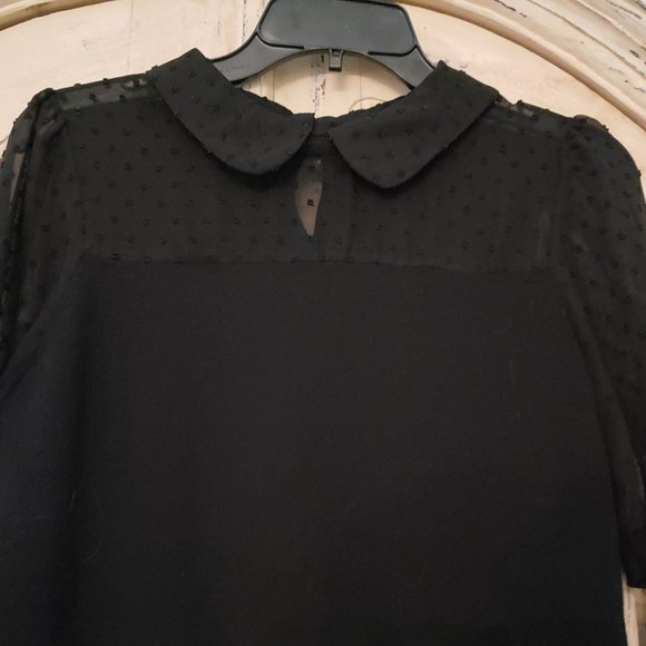 Adrianna Papell short sleeve knit sweater with sheer dot textured chiffon - Picture 13 of 16